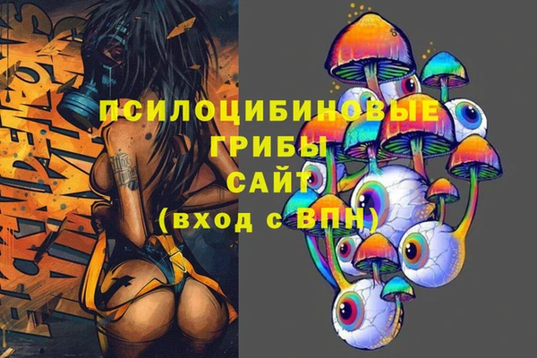 эйфоретик Белокуриха